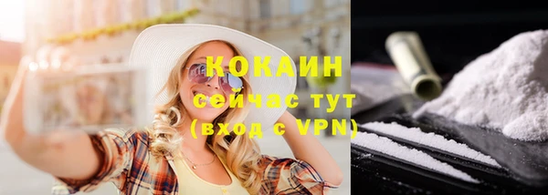 стаф Вяземский