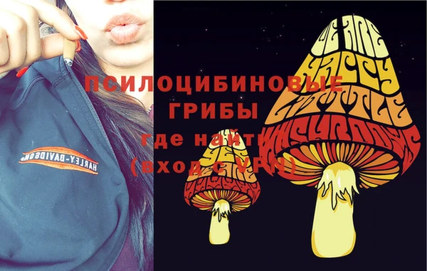 дурь Михайлов