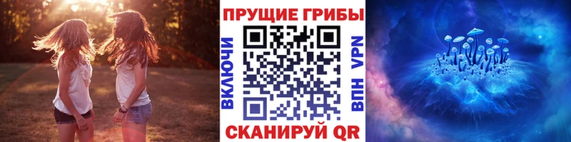 магазин    Певек  Галлюциногенные грибы Magic Shrooms 